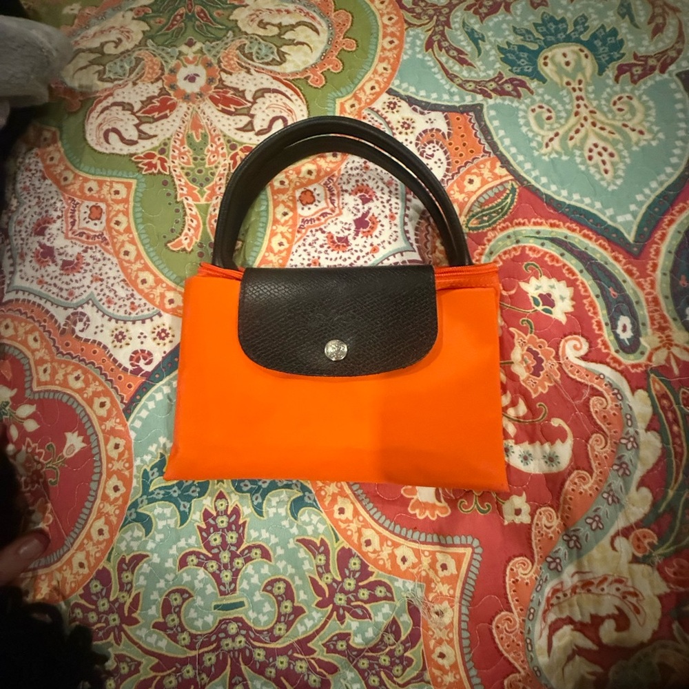 Longchamp Limited Edition x Sarah Morris Pilage tote